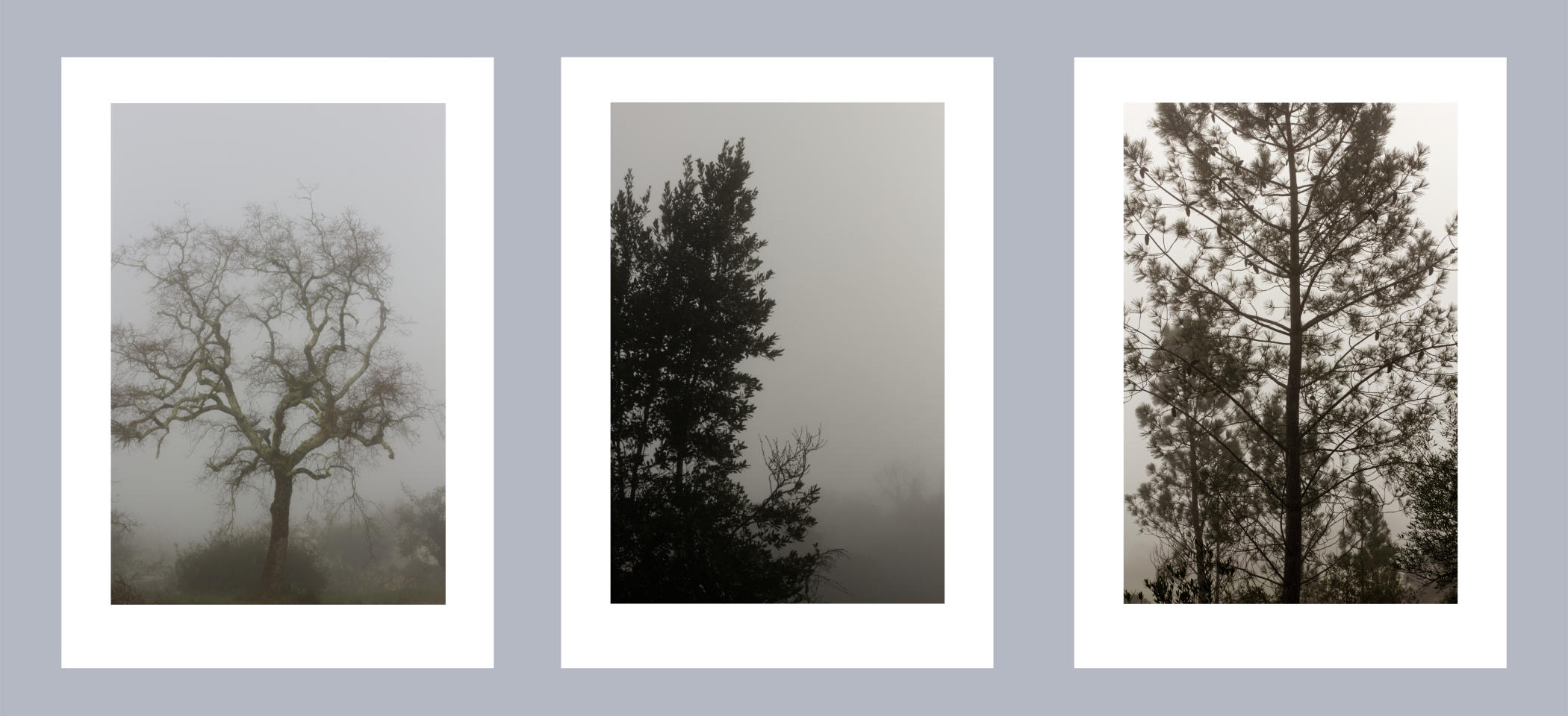 Série II - ART3 Trees
